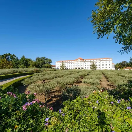 Sdivine Hotel, Congress & Spirituality 4*